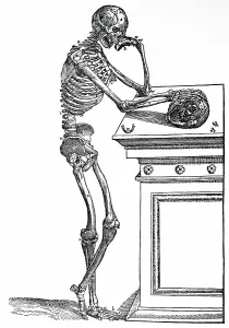 Diagram Prints: The male skeleton. From Andreas Vesalius De Humani Corporis Fabrica, Basel, 1543