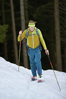 Berg Prints: a Male Skier at Driving Uphill in the Italian PREALPS 1104303051