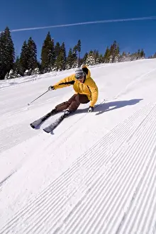 Descent Prints: A man alpine skiing on sunny day on freshly groomed snow at Northstar near Lake Tahoe in California