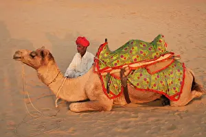 Turban Prints: Man with camel on the desert, Jodphur, Rajasthan, India