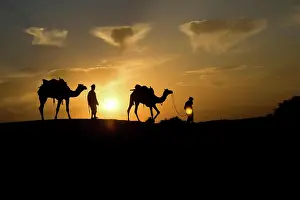 Manner Prints: Man with camel in desert at sunset