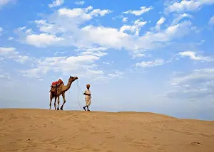 Drought Prints: Man With Camel In Thar Desert