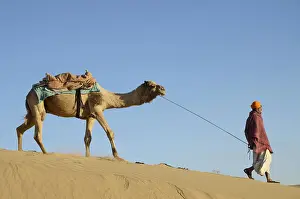 Orte Prints: man with camel walking on Sand Dunes Khuhri Jaisalmer Rajasthan India Copyright: xSarveshxJoshi/DinodiaxPhotox