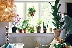 Frgbild Prints: Man carrying potted plant by window in room at home
