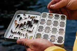 Model Release Prints: A man choosing a dry fly for fishing below Upper Cold Stream Falls in Maine's Northern Forest