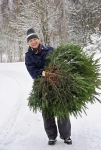 Jackets Prints: Man with christmas tree
