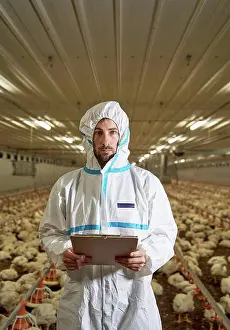 Large Group Prints: Man with clipboard in chicken factory