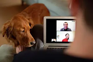 Video Prints: Man with dog video chatting at laptop screen