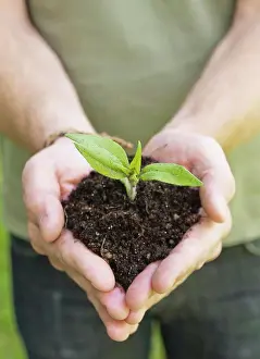 Out Door Prints: Man holding soil