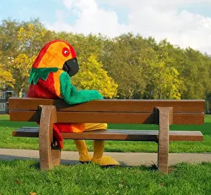 Amuse Prints: Man sitting on park bench dressed in fancy dress outfit