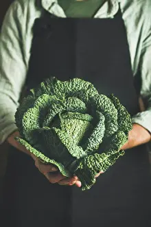 Ingredient Prints: Man wearing black apron keeping fresh green cabbagein in his hands at local farmers market