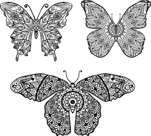Florale Prints: Mandalas Butterfly Ornament Intricate mandala featuring a butterfly