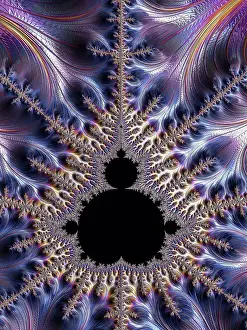 Mathematics Prints: Mandelbrot fractal. Computer graphic showing a fractal image derived from the Mandelbrot Set