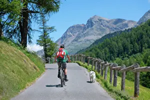 2018 Prints: Mann auf Mountainbike auf der Bergstraße in Begleitung seines Hundes