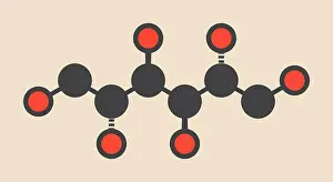 Compound Prints: Mannitol (mannite, manna sugar) molecule