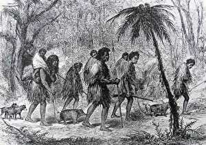 Colonial Prints: A Maori migration in the early Colonial days