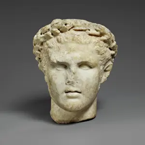 Works Prints: Marble head of Herakles 1st century A