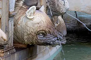 Urban Environment Prints: Marble head of a mythological animal