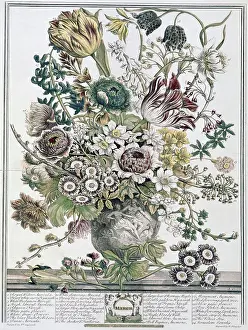 March 1730 H. Fletcher (ca.18th C. British) Lithograph