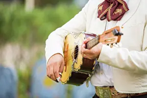 Instrument Prints: Mariachi guitar at the concert close up