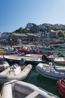 Devon Prints: Marine Quay, Salcombe, Devon, England, United Kingdom, Europe