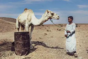 Drought Prints: Marsa alam, egypt 9 february 2025
