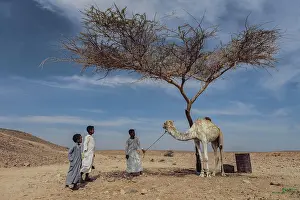 Drought Prints: Marsa alam, egypt 9 february 2025
