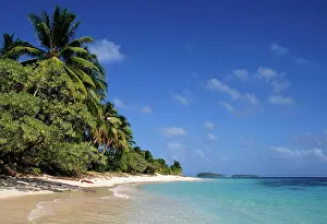 Paradise Prints: Marshall Islands, Micronesia: Beach and palm trees on Calalin Island