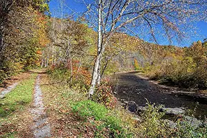 Natural Preserve Prints: Martinton, West Virginia, The Greenbrier River Trail