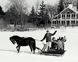 Adult Animal Prints: Mature couple with their children riding in a horsedrawn sleigh and waving their hands