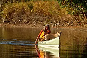 Life Jacket Prints: Mature woman paddles canoe with dog, Oxtongue Lake, Muskoka, Ontario, Canada