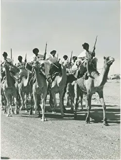Mauritanian army Meharists on dromedaries in the desert, elite troops for police units