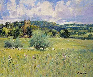 Plant Life Prints: Meadows At Weston Subedge, Warwickshire- Afternoon