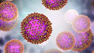 Envelope Prints: Measles virus particle, computer illustration