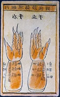 Graphic Prints: medicine pulse diagnosis chart woodblock printing coloured China late 17th century private collection