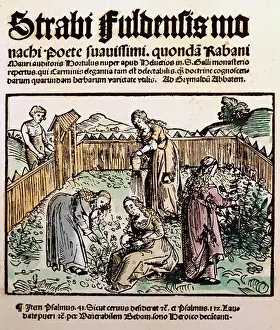 Drug Prints: medicine textbooks herbal 'De cultura hortorum' by Walafrid Strabo (808/809 - 849)