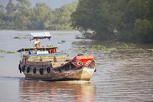 Vietnamese Prints: Mekong Delta, Vietnam, September 29