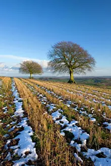 Melting Prints: Melting winter snow in a rural field