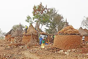 Clay Prints: Men thatching the roof of a rondavel, near Maroua, Extreme Nord, Cameroon, Africa