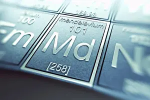 Metallic Prints: Mendelevium (Chemical Element)