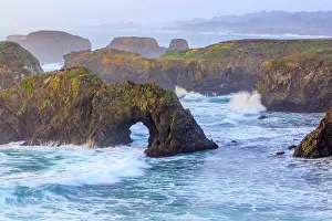 Mist Prints: Mendocino Headlands State Park in Northern California