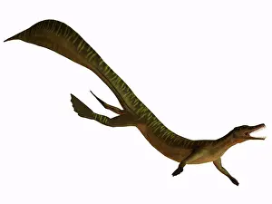 Extinct Prints: The Mesosaurus was a carnivorous aquatic reptile from the Early Permian of Africa and South America