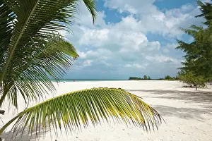 Playa Prints: Mexico, Cozumel. Isla Pasion ( Passion Island) off Isla de Cozumel (Cozumel Island)