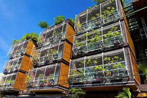 Balcony Prints: Mexico, Quintana Roo state, Riviera Maya, Playa del Carmen. Vegetated building