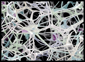 Joining Prints: Micro-structure of Magic Eraser material, SEM