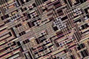 Electronics Prints: Microchip, light micrograph