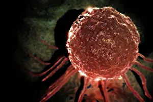 Biology Prints: Microscopic styled view of a stem cell