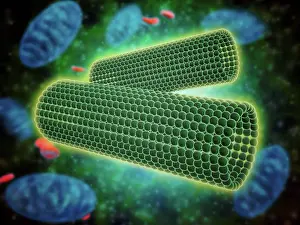 Fiber Prints: Microscopic view of barrel shaped structure of centrioles within a human cell
