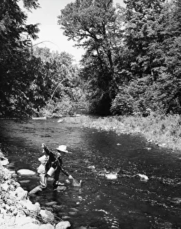 Hobbies Prints: Mid adult man fly fishing in a stream