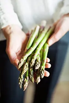 Vegetables Prints: Midsection of woman holding bunch of asparagus vegetable